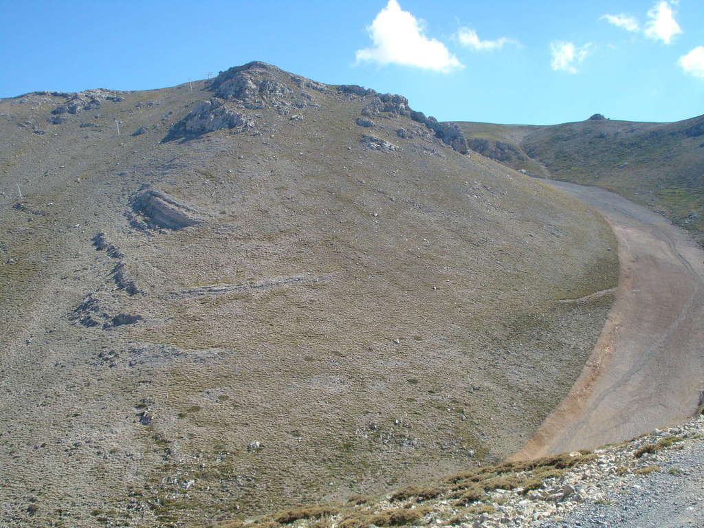 Dsc02544