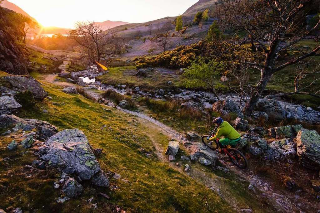 22802189 907595429417147 3296534983346225152 n