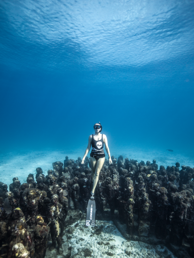 27336450 1983554021658683 9002316344304403497 n