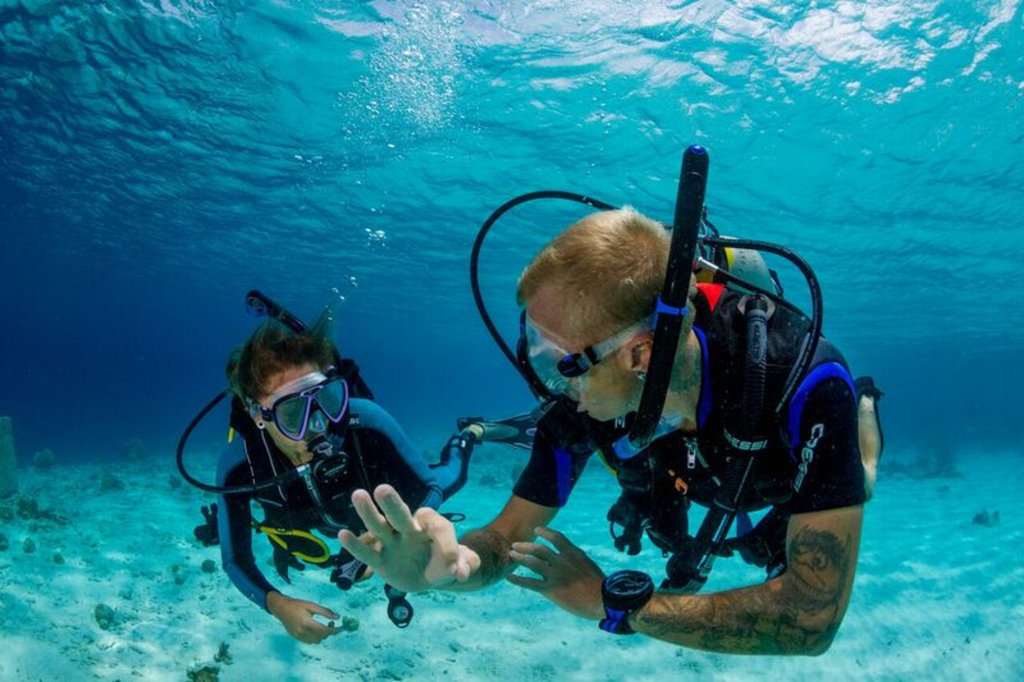37838901 2216043278409755 3561919101305618432 n