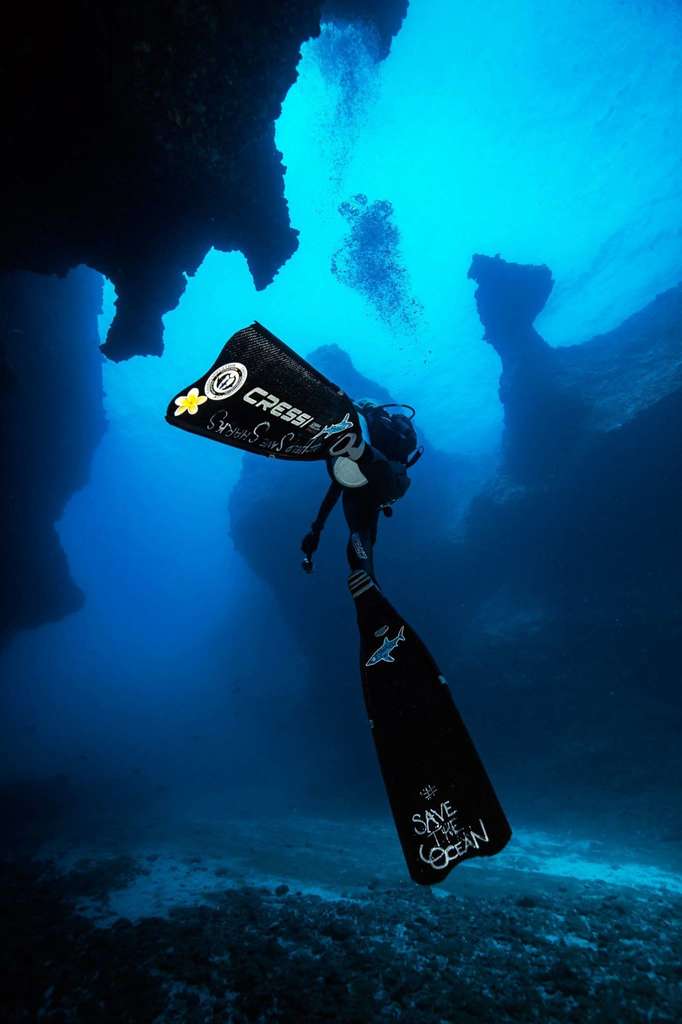 38392008 2229351733745576 8196336444600483840 o