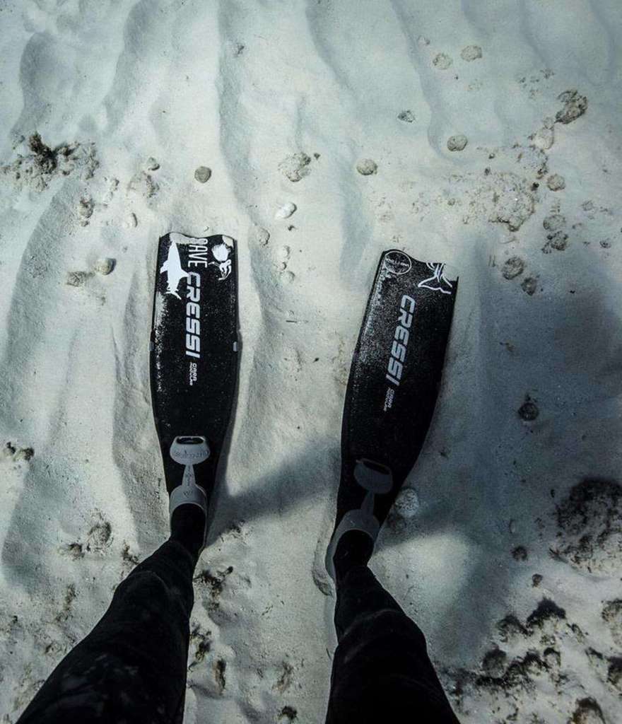47388868 2419193998094681 123993807459975168 n